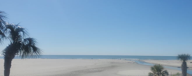 myrtlebeach.png